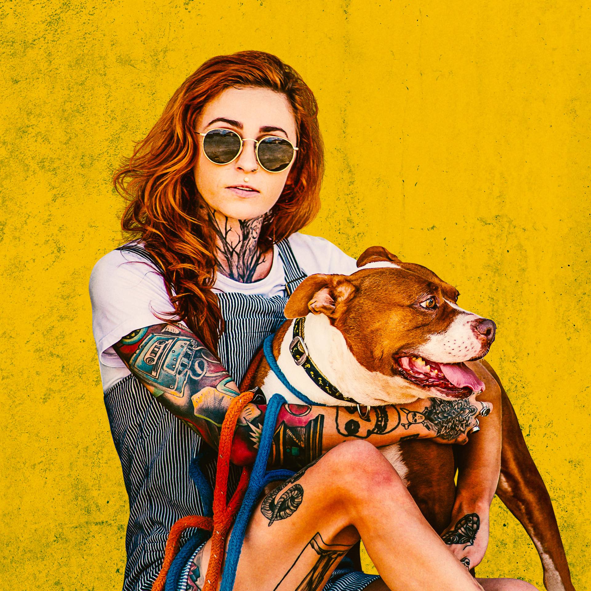 Discover Pitbulls Dating Life: The Untold Stories of His Relationships