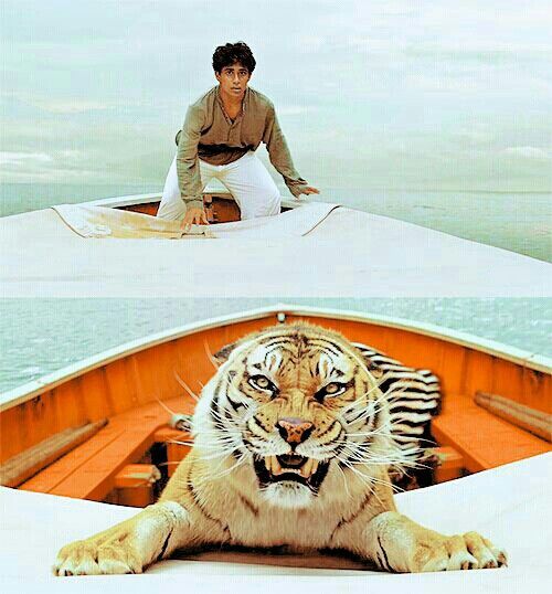 Life of Pi Photos: Capturing the Magic of Pi’s Journey