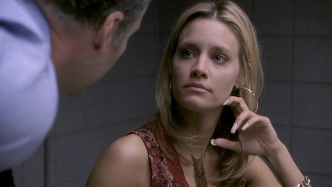 Law & Order: Criminal Intent Shandeh - Episode Insights and Analysis