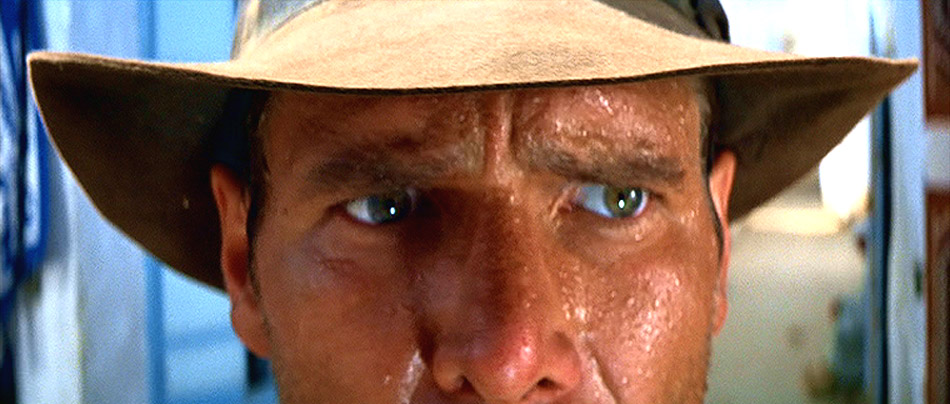 Harrison Ford Eye Color: Are His Eyes Really Hazel or Something Else?