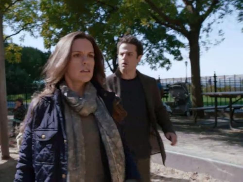 Secrets Exposed: The Twisted Truth Behind Law & Order SVUs Vanitys Bonfire