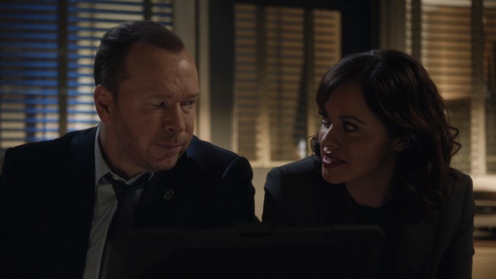 Blue Bloods Season 11 Episode 10: The Common Good Review and Recap