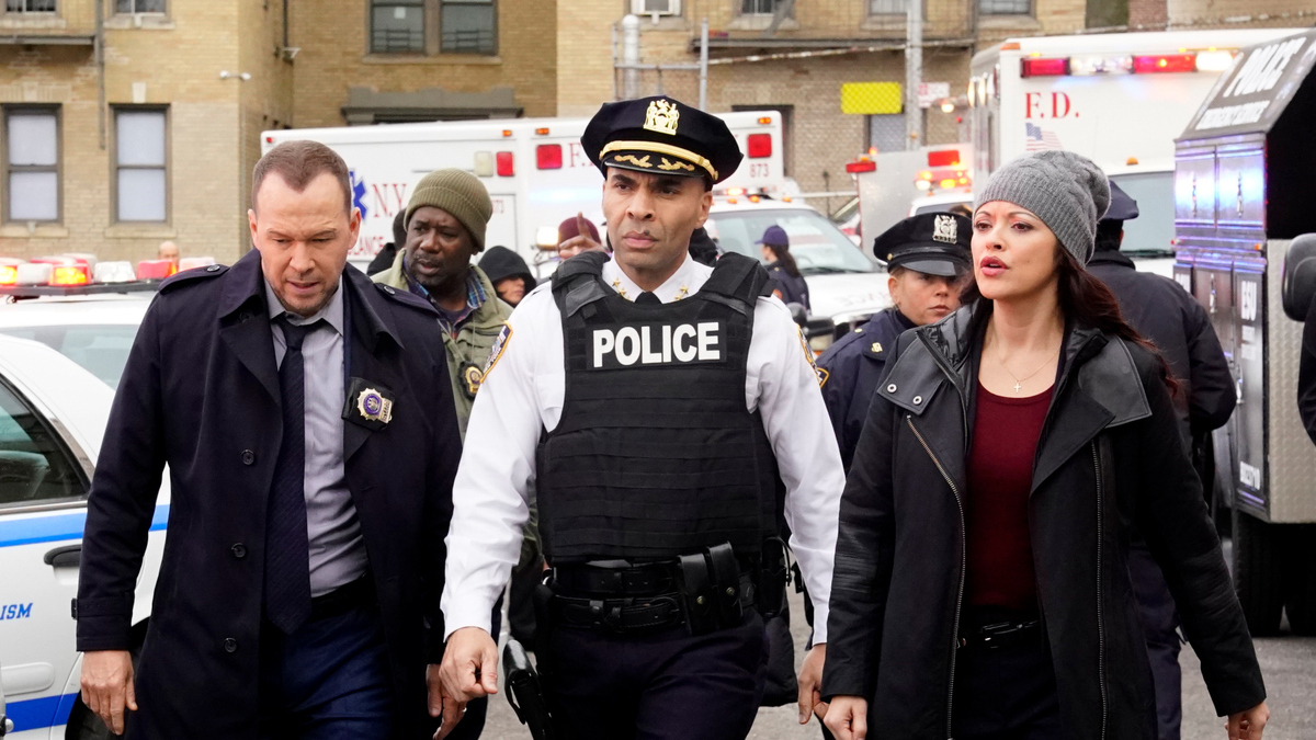 Exploring Blue Bloods School of Hard Knocks: A Fight for Survival