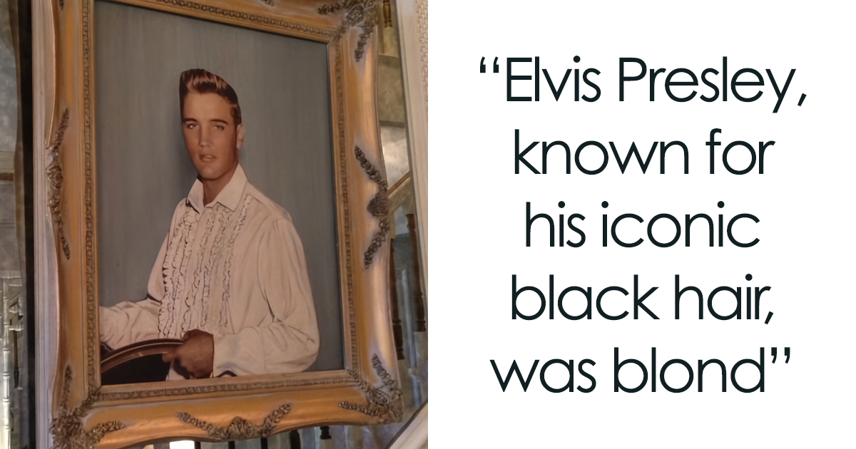 Surprise! A Random Hollywood Actor You Should Know About
