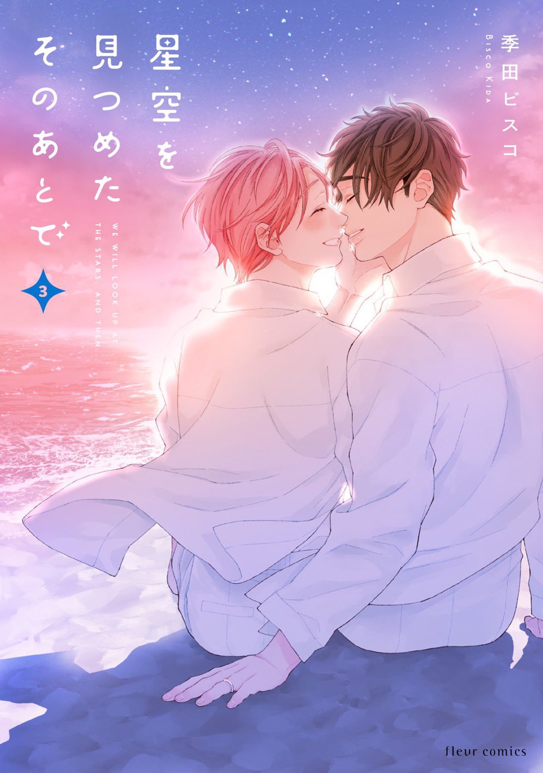 After We Gazed at the Starry Sky Volume 3: What Happens Next?