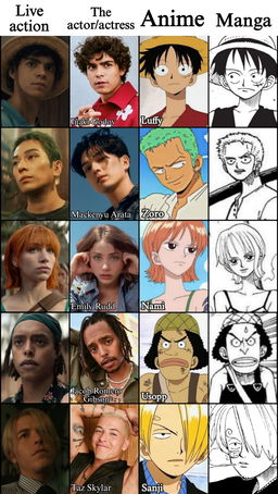 Take the Quiz: What One Piece Character Are You Most Like?