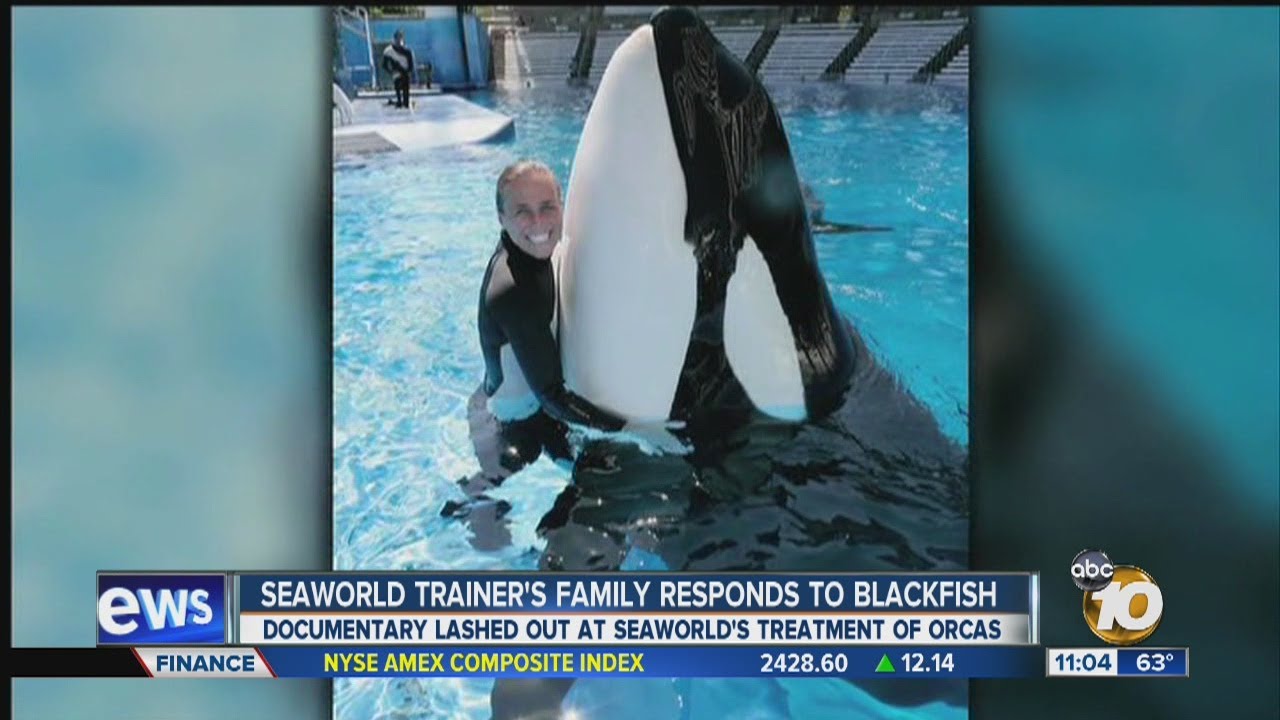 SeaWorlds Response to Blackfish: The Dawn Brancheau Tragedy Explained