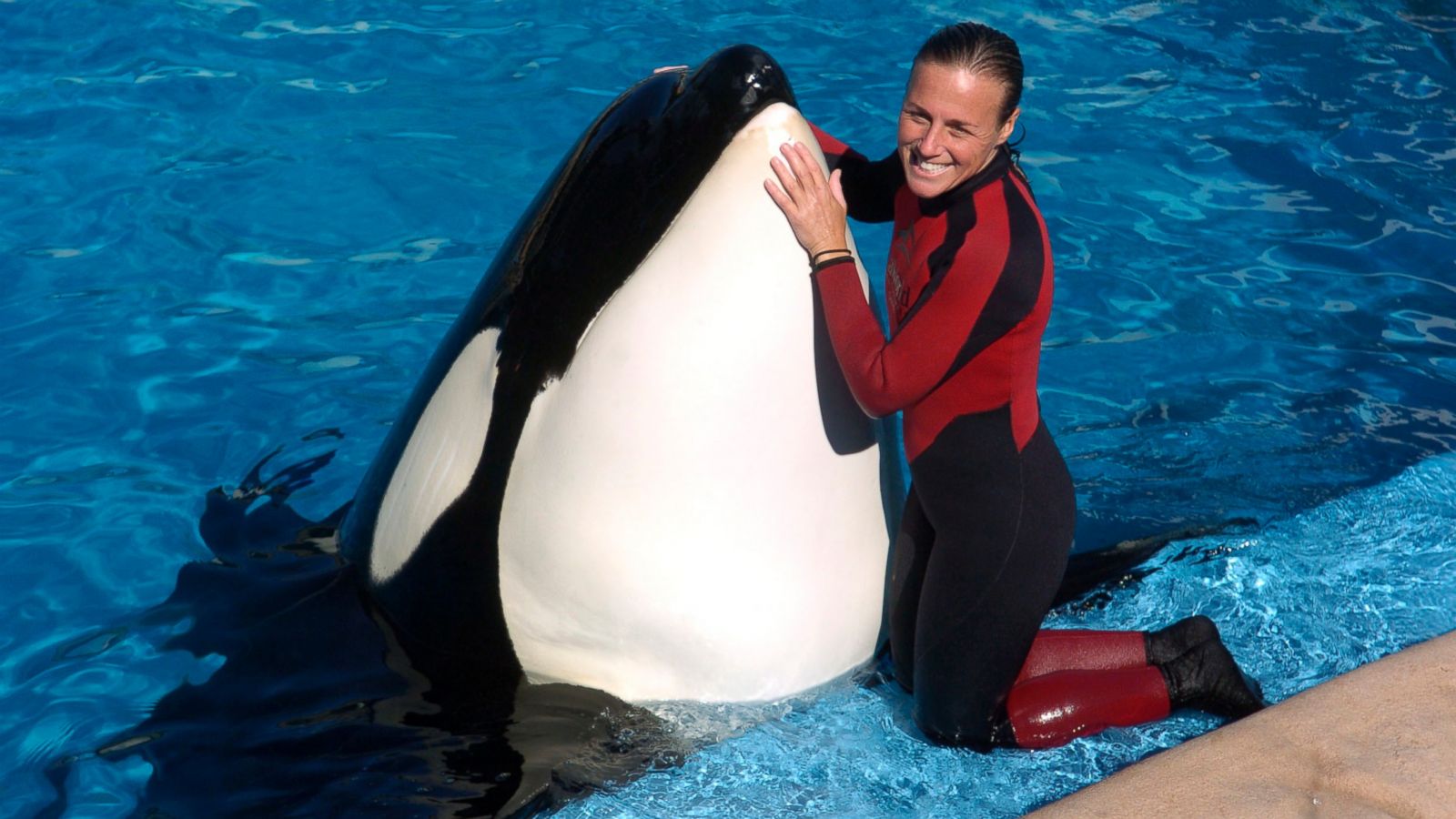 SeaWorlds Response to Blackfish: The Dawn Brancheau Tragedy Explained