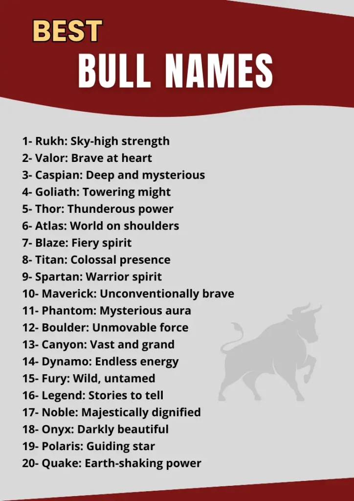 Cool Bull Names: Finding a Great Name for Your Bull