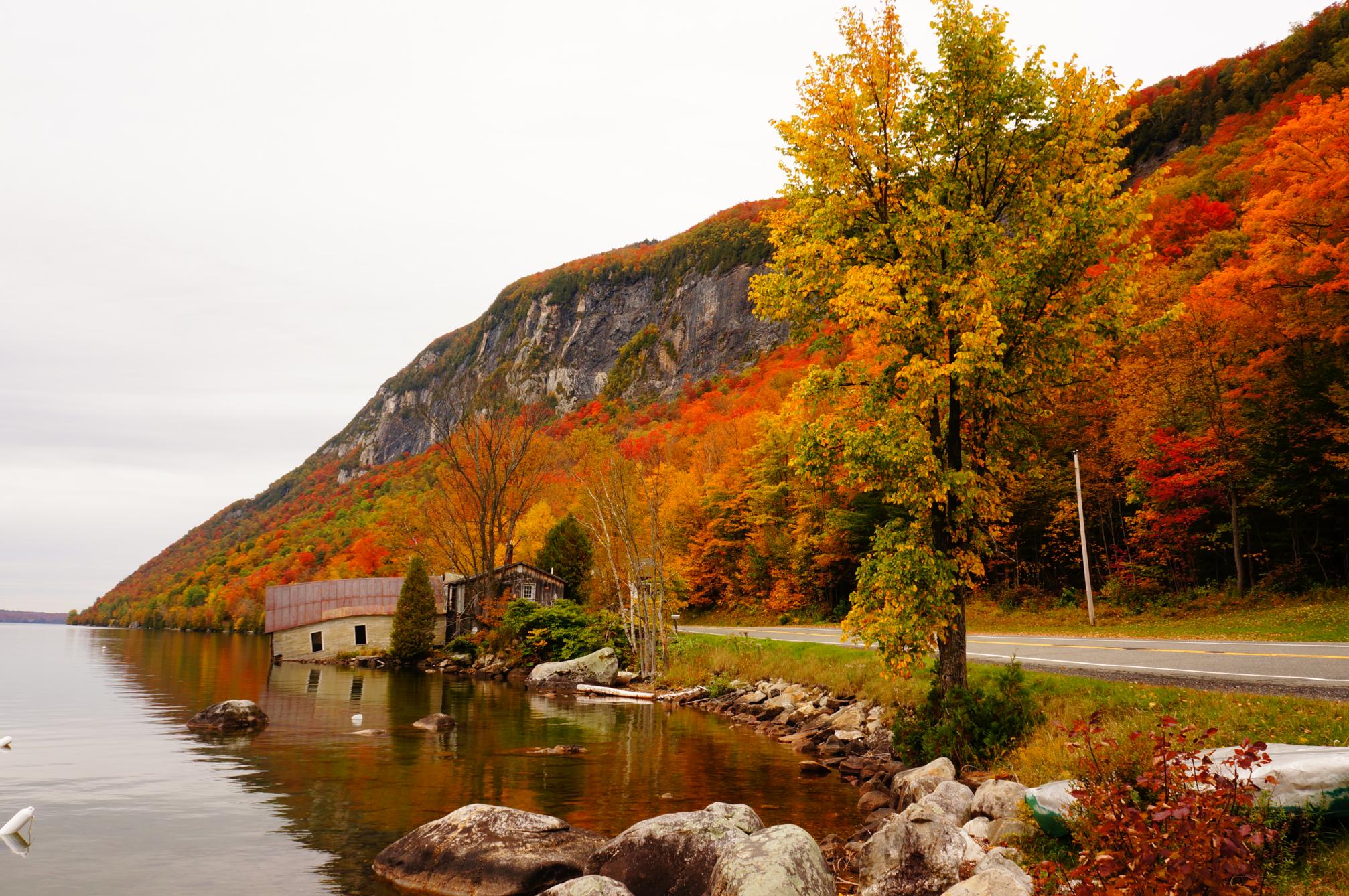 Celebrities Vermont: Discover Their Favorite Vacation Spots!