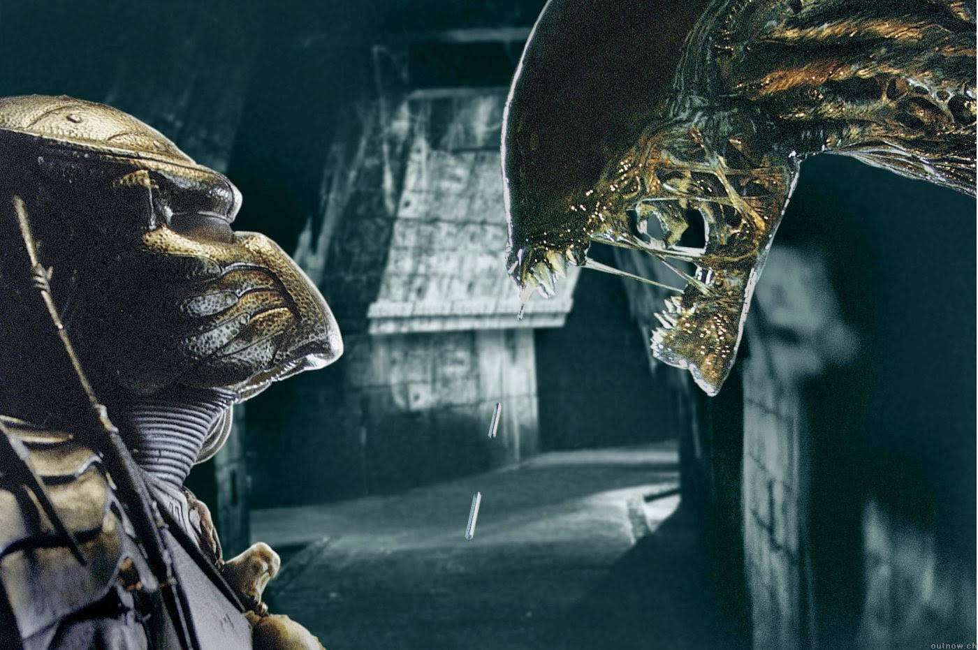 Looking for Films Like Alien vs Predator? Check These Out!