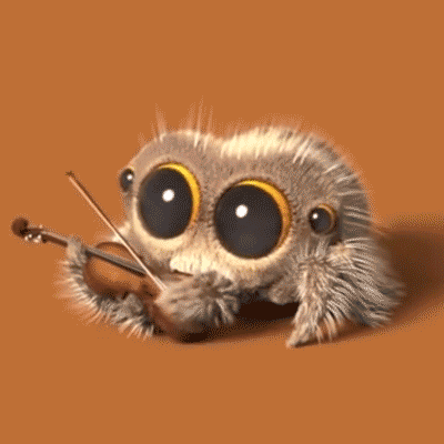 Catchy songs about spiders (Listen to these awesome tracks)