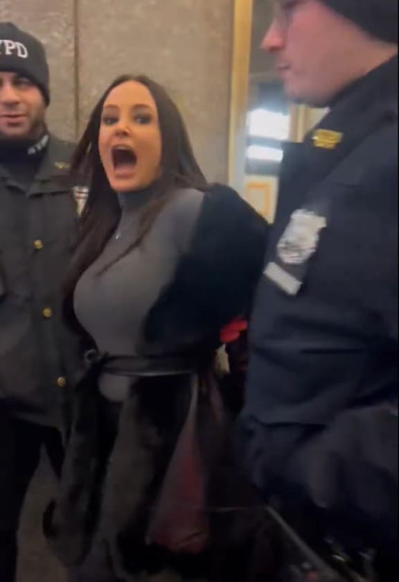 Lisa Ann Police: The Real Story Behind the Viral News