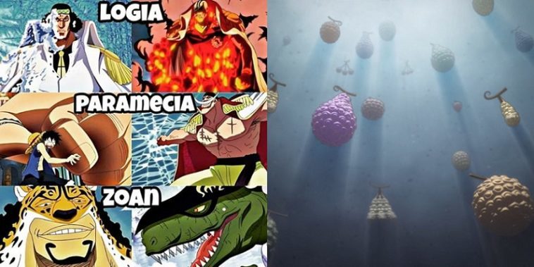 Devil Fruit Quiz: Are You a Logia, Zoan, or Paramecia?