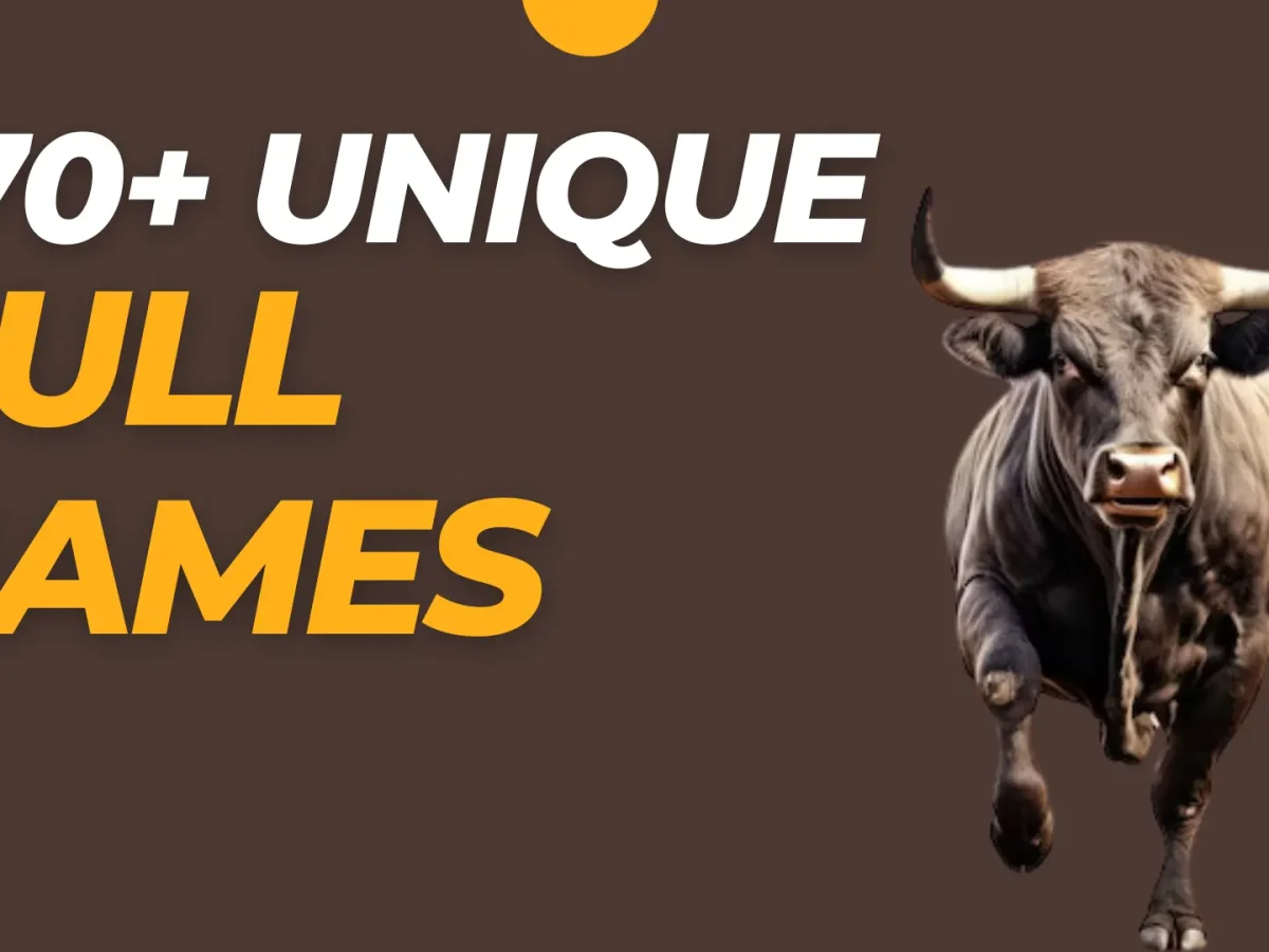 Cool Bull Names: Finding a Great Name for Your Bull