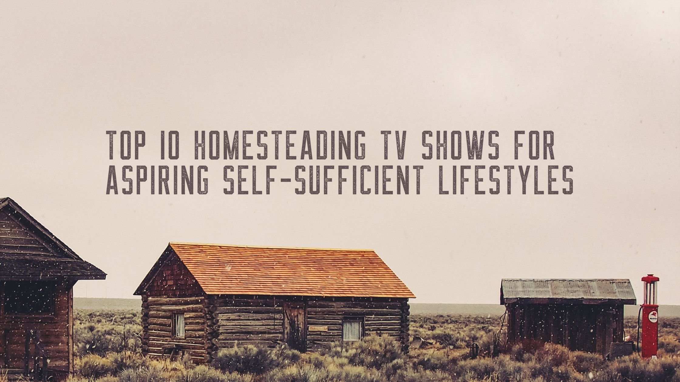 New to shows about homesteading? Start with these easy-to-follow series.