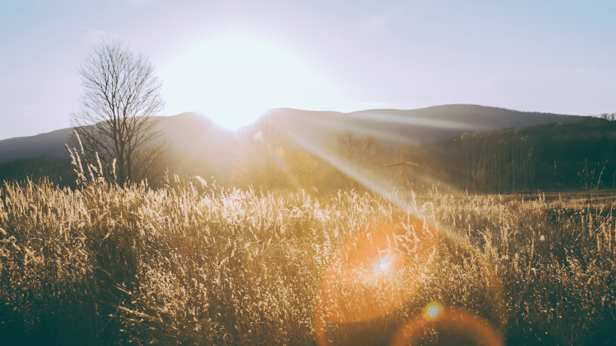 Need a Morning Boost? Check These Songs with Morning in Title