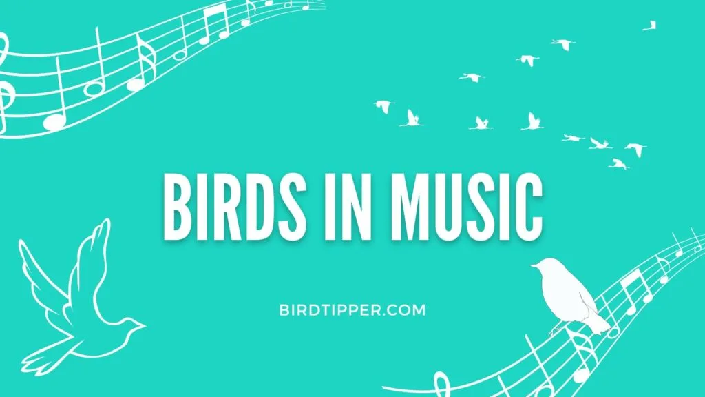 Popular Bands With Bird Names (Easy Guide to the Best Bird-Themed Music Groups)